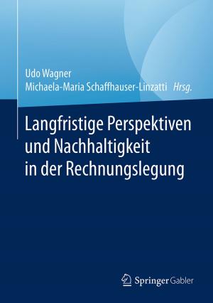 Cover of the book Langfristige Perspektiven und Nachhaltigkeit in der Rechnungslegung by Manfred Jürgen Matschke, Gerrit Brösel