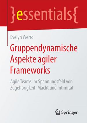 Cover of the book Gruppendynamische Aspekte agiler Frameworks by Dieter Guicking