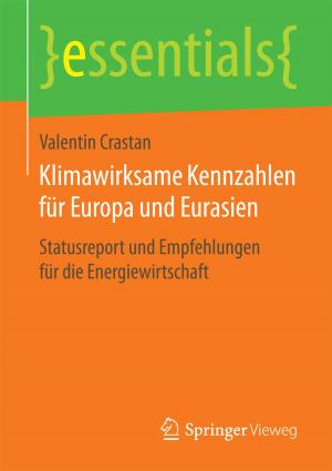 Book cover of Klimawirksame Kennzahlen für Europa und Eurasien