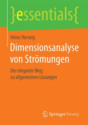 Cover of Dimensionsanalyse von Strömungen