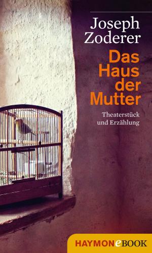 Cover of the book Das Haus der Mutter by Joseph Zoderer