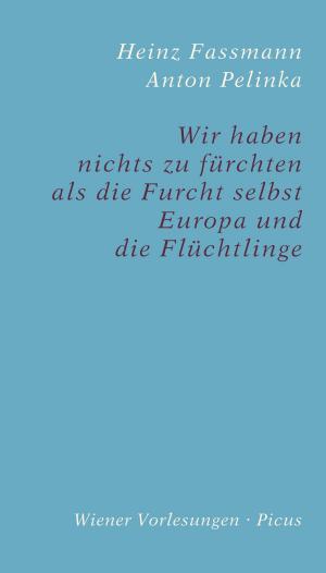Cover of the book Wir haben nichts zu fürchten als die Furcht selbst by Judith W. Taschler