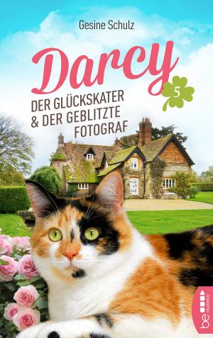 Cover of the book Darcy - Der Glückskater und der geblitzte Fotograf by Linda Howard