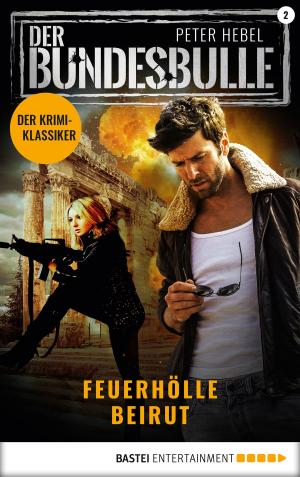 Cover of the book Der Bundesbulle 2 - Krimi-Serie by Peter Hebel