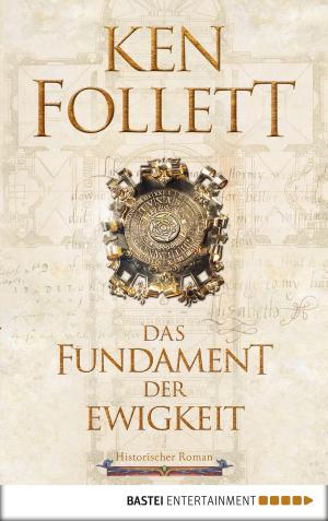 Book cover of Das Fundament der Ewigkeit