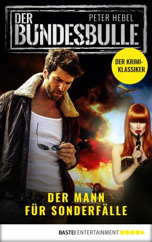 Book cover of Der Bundesbulle - Roman zur Krimi-Serie