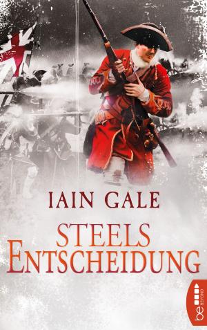 Book cover of Steels Entscheidung