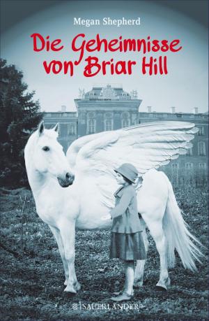 Book cover of Die Geheimnisse von Briar Hill
