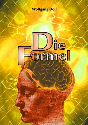 Cover of the book Die Formel by Julie Steimle