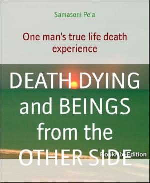 Cover of the book DEATH DYING and BEINGS from the OTHER SIDE by Shane Jansens van Rensburg