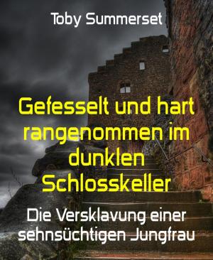 Cover of the book Gefesselt und hart rangenommen im dunklen Schlosskeller by Marc Lelky