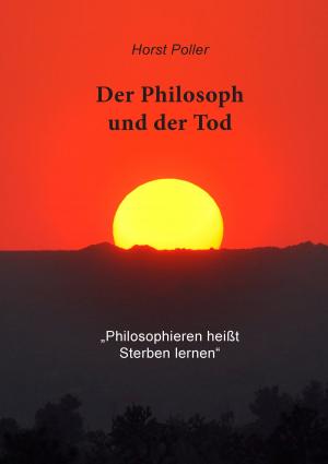 Cover of the book Der Philosoph und der Tod by Claudia Dabringer