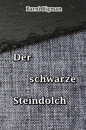 Cover of the book Der schwarze Steindolch by Rita Mustaficic