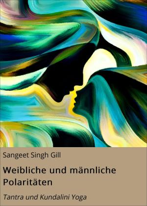 Cover of the book Weibliche und männliche Polaritäten by Inga Kess
