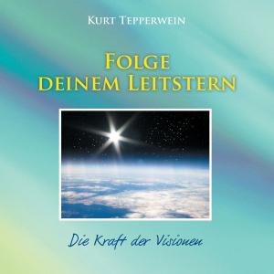 Cover of the book Folge deinem Leitstern by Leni Weber