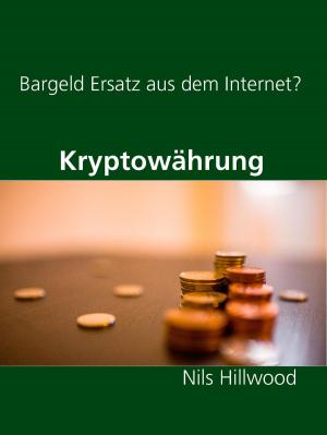 Book cover of Im Internet Geld verdienen -- Aber wie geht das ??