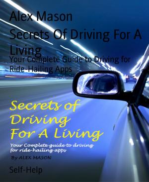 Book cover of Secrets Of Driving For A Living