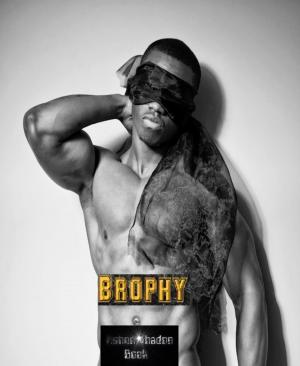 Cover of the book Brophy by Viktor Dick