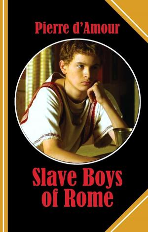 Book cover of Slave Boys of Rome