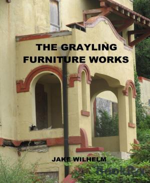 Cover of the book Grayling Furniture Factory by Scot McAtee