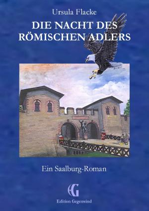 Book cover of Die Nacht des römischen Adlers