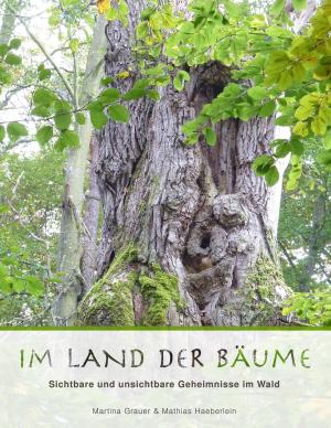 Cover of the book Im Land der Bäume by Julius Wolff