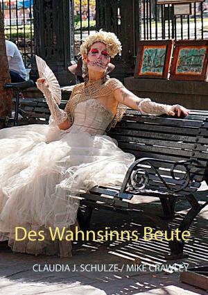 Cover of the book Des Wahnsinns Beute by Jörg Becker