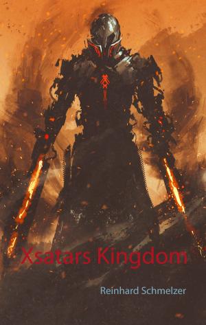 Book cover of Xsatars Kingdom