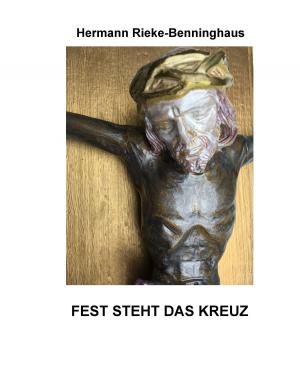Cover of the book Fest steht das Kreuz by Doris Ostermeier-Schwaneberg