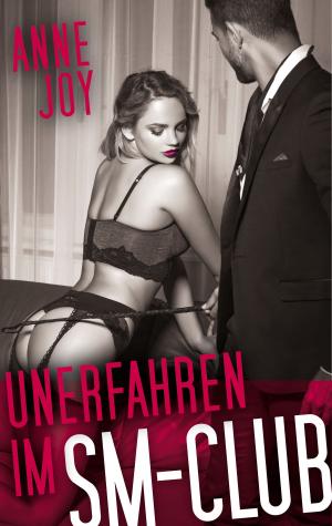 Cover of the book Unerfahren im SM- Club by Jürgen Höflinger