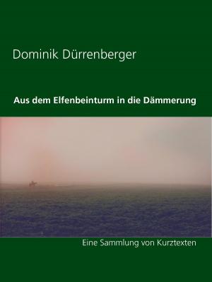 Cover of the book Aus dem Elfenbeinturm in die Dämmerung by Jörg Becker