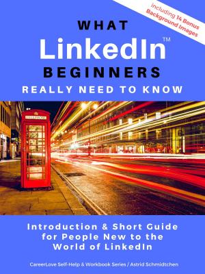 Cover of the book What LinkedIn Beginners Really Need to Know by Bernhard J. Schmidt