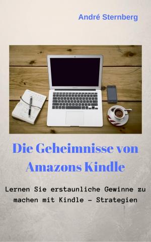 Book cover of Die Geheimnisse von Amazons Kindle
