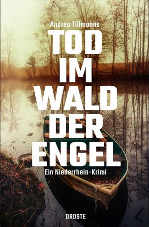 Book cover of Tod im Wald der Engel