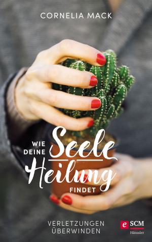 Cover of the book Wie deine Seele Heilung findet by Kerri Pomarolli