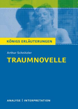 Cover of the book Traumnovelle. Königs Erläuterungen. by Theodor Fontane, Martin Lowsky