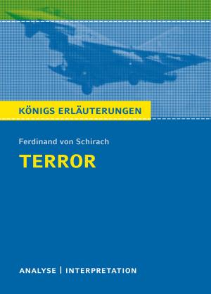 Cover of the book Terror. Königs Erläuterungen. by Jenny Erpenbeck, Sabine Hasenbach