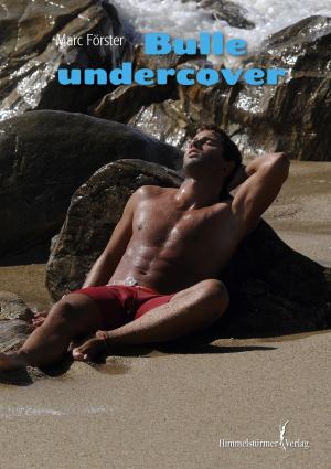 Cover of the book Bulle undercover by Manuel Sandrino