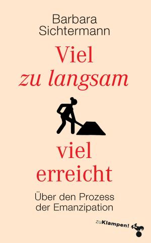 Cover of the book Viel zu langsam viel erreicht by Hannelore Schlaffer