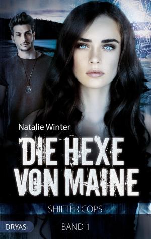 Cover of the book Die Hexe von Maine by Robert C.  Marley