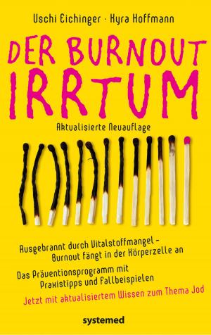 Book cover of Der Burnout-Irrtum