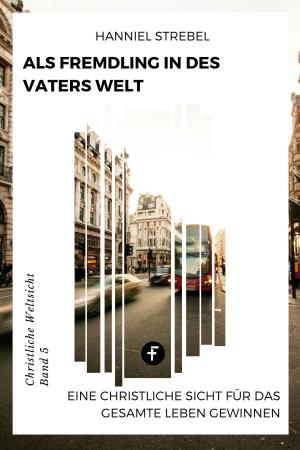 Cover of the book Als Fremdling in der Welt des Vaters by Hanniel Strebel