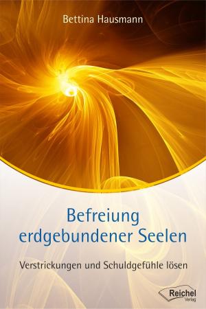 Cover of the book Befreiung erdgebundener Seelen by Erich Berger