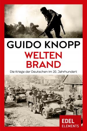 Cover of the book Weltenbrand by Wolfgang Schmidbauer