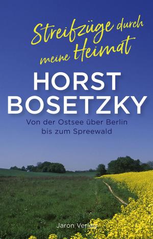 Cover of the book Streifzüge durch meine Heimat by Stephan Hähnel