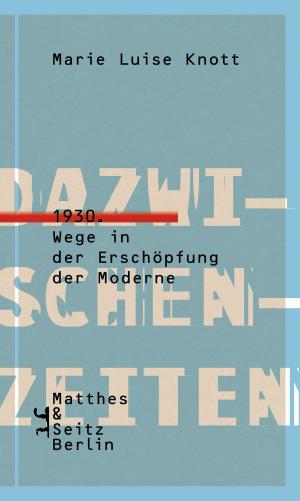 Cover of the book Dazwischenzeiten by Marcus Steinweg