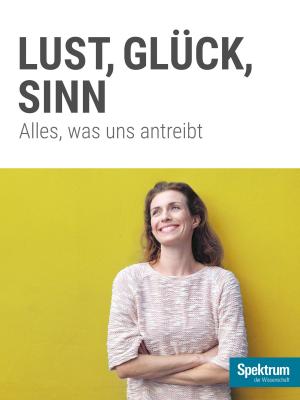 Cover of the book Lust, Glück, Sinn by 
