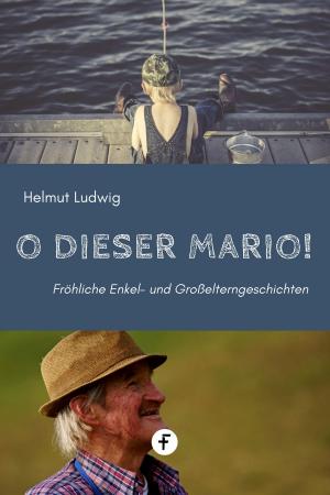 Cover of the book O dieser Mario! by Hanniel Strebel