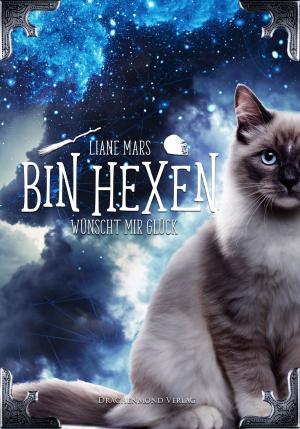 Cover of the book Bin hexen by Lena Klassen