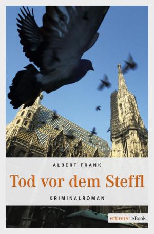 Cover of the book Tod vor dem Steffl by Frank Schätzing